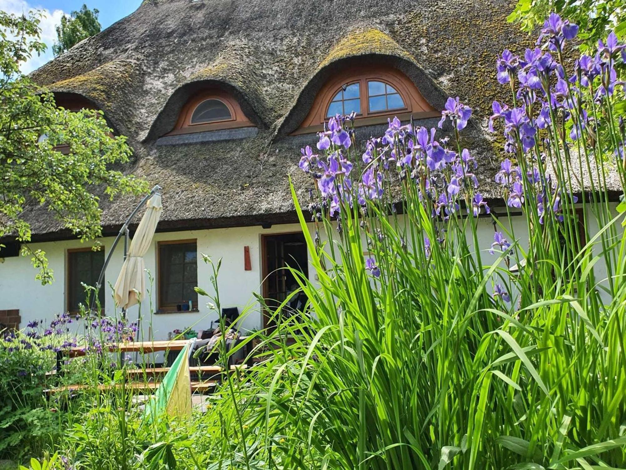 Renovated Apartment In The Old Farmhouse Krusenhagen Exterior foto